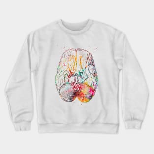 Human brain section Crewneck Sweatshirt